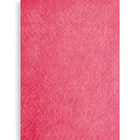 Fetru 40x60 cm - PASLA IPB 40*60CM 1MM CORAL PN671