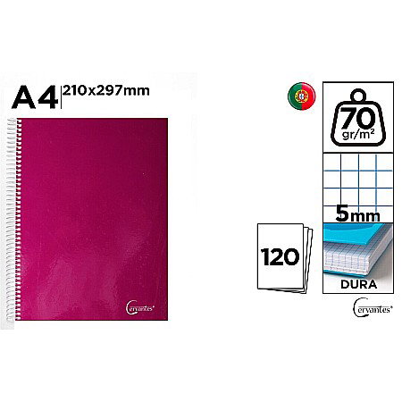 Caiete - CAIET A4 IPB 120F SPIRA PATRATELE PB771
