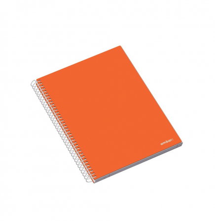 CAIET A5 100F SPIRA 5 SUBIECTE AMBAR SCHOOL PATRATELE 163504 [4]