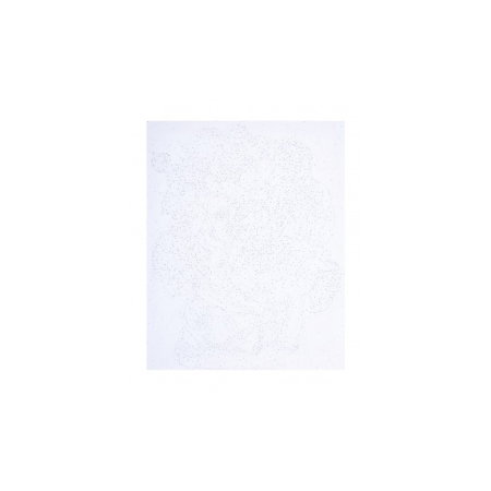 PANZA PICTURA PE NUMERE 40*50CM CU VOPSELE SI PENSULE, BUJORI 801022906 [1]
