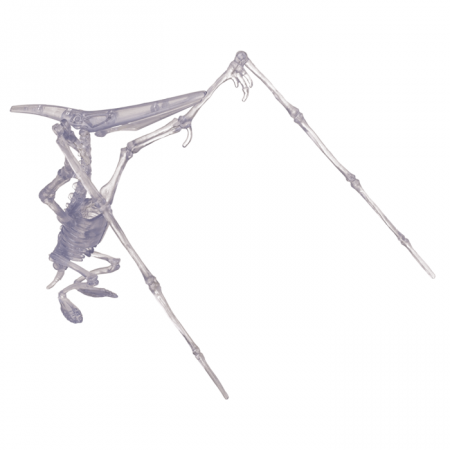 BLU MINI KIT ASAMBLARE SCHELET DE DINOZAUR 10CM GLOW IN THE DARK 59/2194 [6]