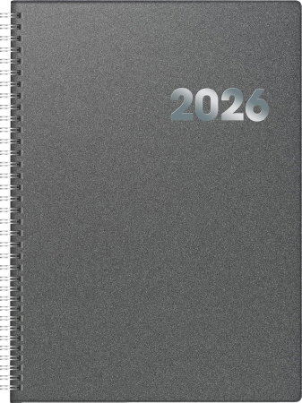 Agende 2026 - AGENDA DATATA ZILNIC BRUNNEN A4 2026 PP SPIRA GRI METALIC 789619066