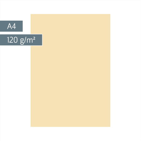 CARTON COLOR A4 120GR 25/SET CHAMOIS 5123511 [1]