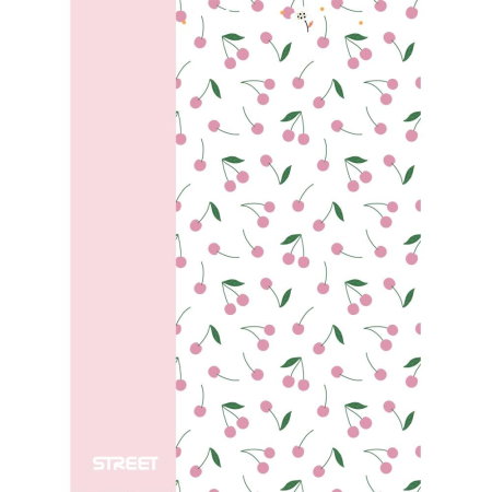 CAIET A4 PP 42 FILE, PATRATELE, STREET BLOSSOM 67375 [3]