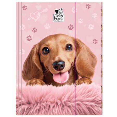 Mape Birou/ Dosare Scolare - Dosar Carton cu Elastic A4 Cleo&Frank Pies Dog