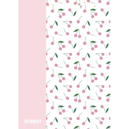 CAIET A4 PP 42 FILE, LINII, STREET BLOSSOM 67374 [3]