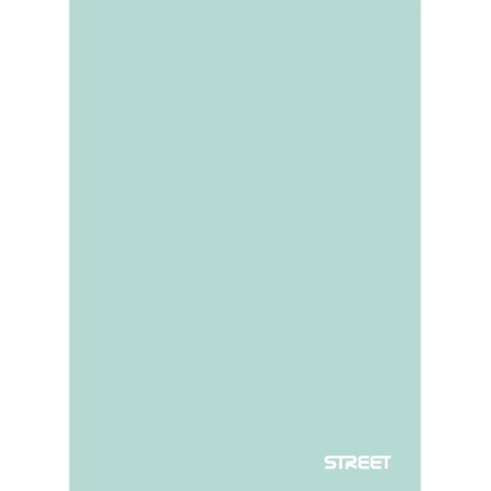 CAIET A4 PP 42 FILE, LINII, STREET PASTEL 63330 [2]