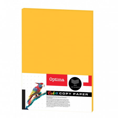 RECHIZITE SCOLARE IPB - EU HARTIE COLOR A4 80GR/M2 100/SET ORANGE FLUO 130071