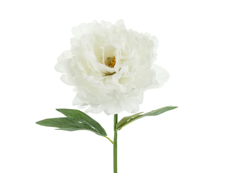 Bujor Artificial Alb 35cm KWT4-008 - Decor Elegant [4]