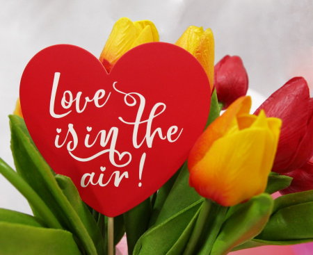 GOD DECORATIUNI DIN LEMN PENTRU TORT Love is in the air-Heart, 10*30cm RV-DPLS [2]