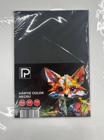 Hârtie Color A4 50/Set 70gr Negru 11300037 Paperland [1]