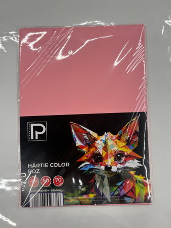 Hârtie Color A4 50/Set 70gr Roz 11300057 Paperland [1]