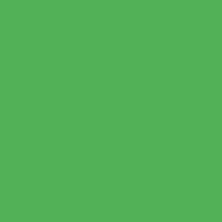 KP CARTON 50*70 130GR VERDE 4721253 [1]
