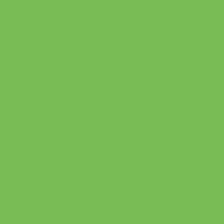 KP CARTON 50*70 130GR VERDE IARBA 4721254 [1]
