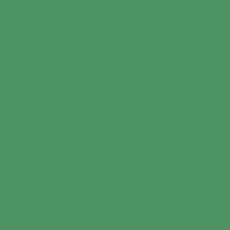 KP CARTON 50*70 130GR VERDE IARBA 4721257 [1]