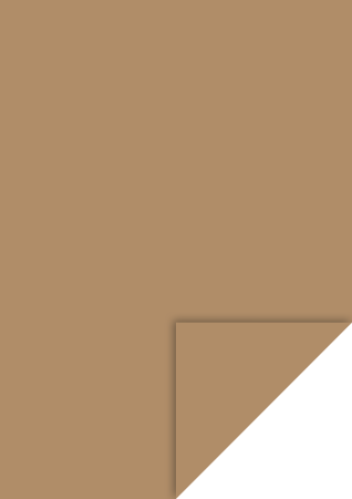 Hartie si cartoane colorate A4, A3 - KP CARTON A4 300GR MARO NISIPIU 4726471