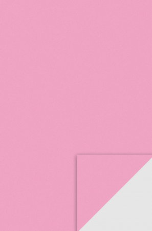 Moosgummi/ Foi Gumate - KP COALA GUMATA A4 2MM ROSE 8433224