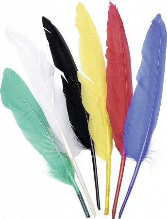HOBBY - KP PENE DECOR GASCA 25-30CM 6/SET INDIENE 2543807