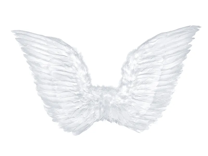 Decoratiuni Craciun - ARIPI DE INGER, white, 75 x 45cm SK3-008