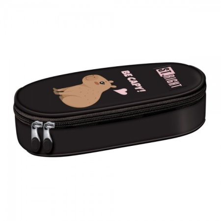 Penare, Etuiuri, Necessaire - Penar Neechipat 1 Fermoar St.Right Be Capy 697272