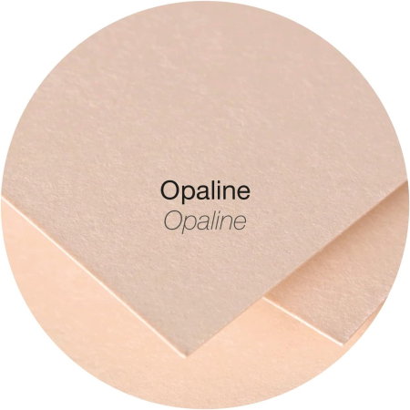 Set 20 Plicuri Pătrate Clairefontaine Opalin 14x14 [5]