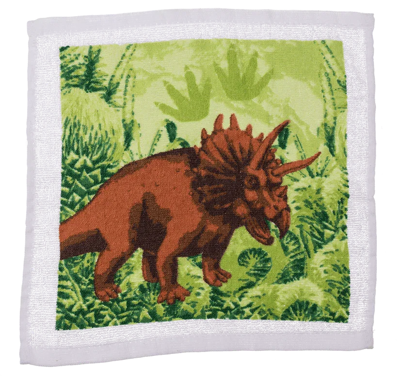 Prosop Magic din Bumbac cu Dinozauri 30x30cm [4]