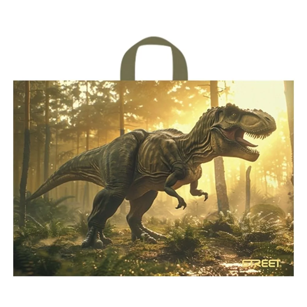 Blocuri de desen - Sacoșă pentru Bloc de Desen Street 51x37cm L Dino 56088