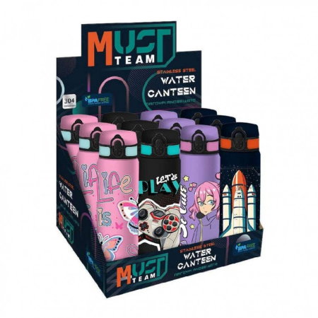 Import - STICLA APA INOX MUST TEAM 600ML 7x23CM DIVERSE MODELE 000586446