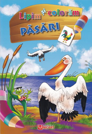 Carti de Colorat pentru copii - CARTE COLORAT A4 LIPIM SI COLORAM PASARI