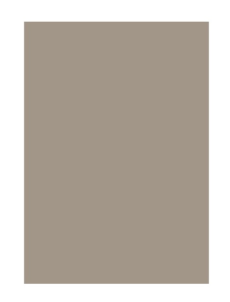 Brunnen Carton Color A4 160g/m² 25 Set Taupe