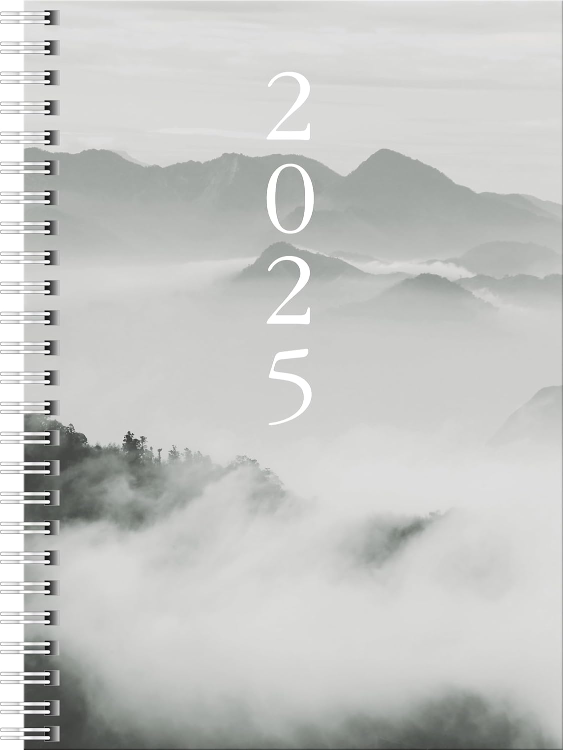 BR AGENDA DATATA SAPTAMANAL BRUNNEN A5 2025  SPIRA CLOUDY ML 21807015