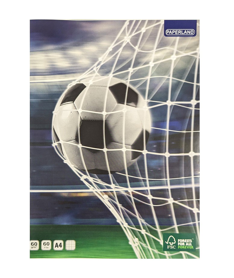 CAIET A4 60 FILE 60g AR 24000013