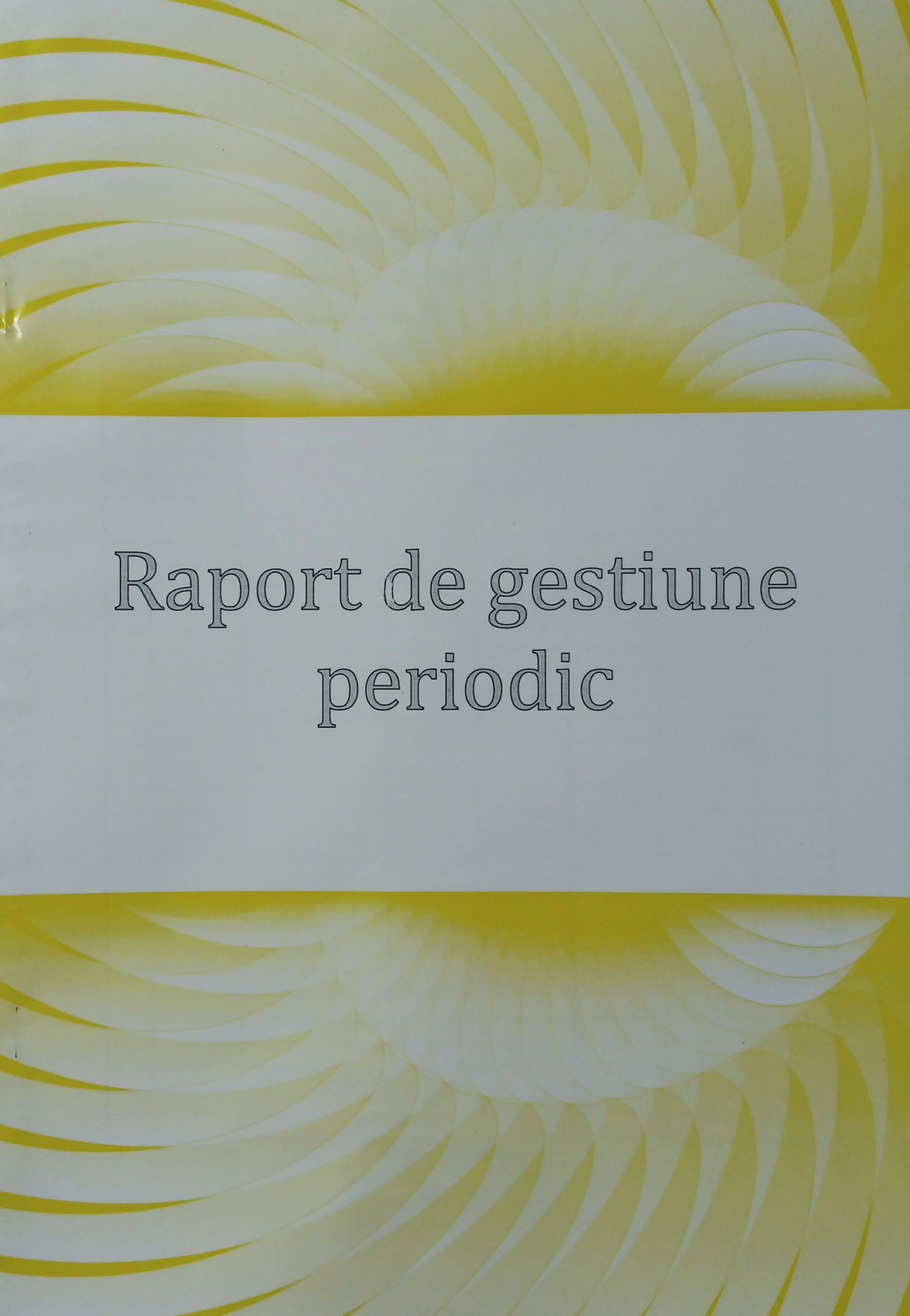 RAPORT GESTIUNE PERIODIC A4