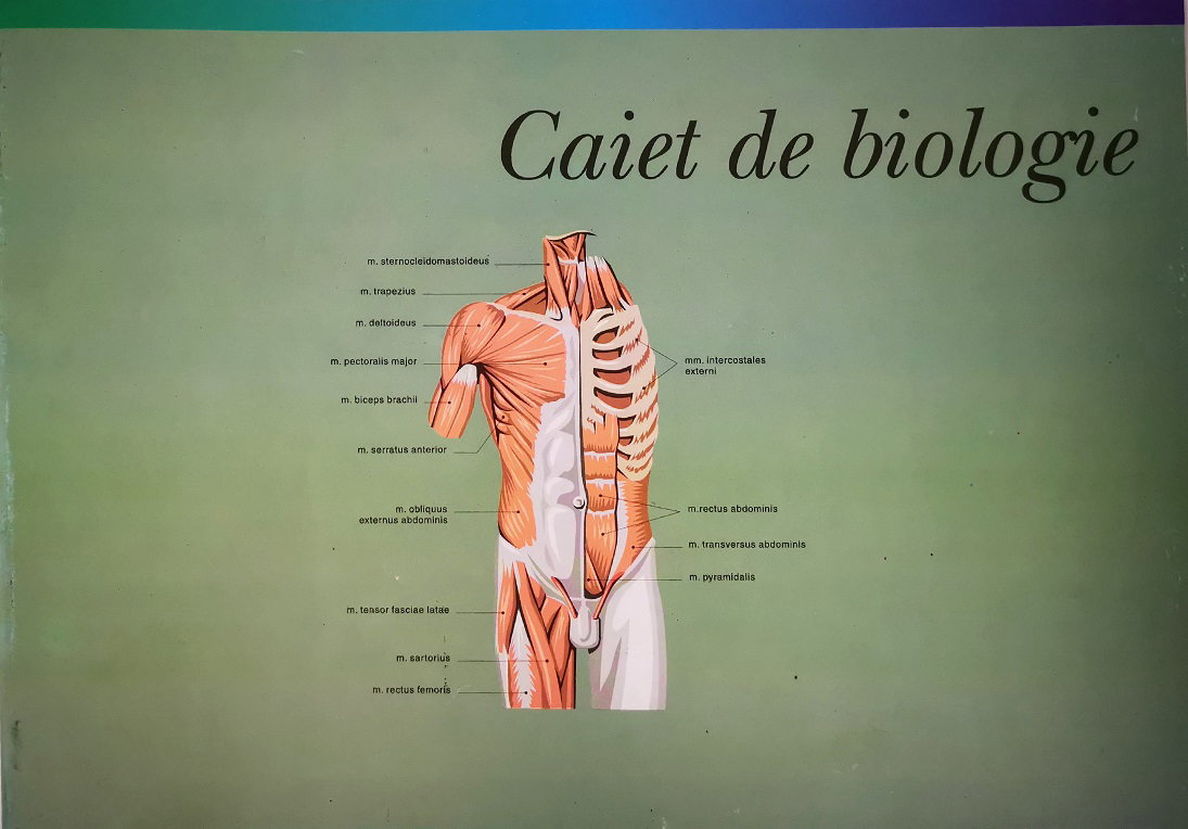 Caiet Biologie Gold 24 File A4