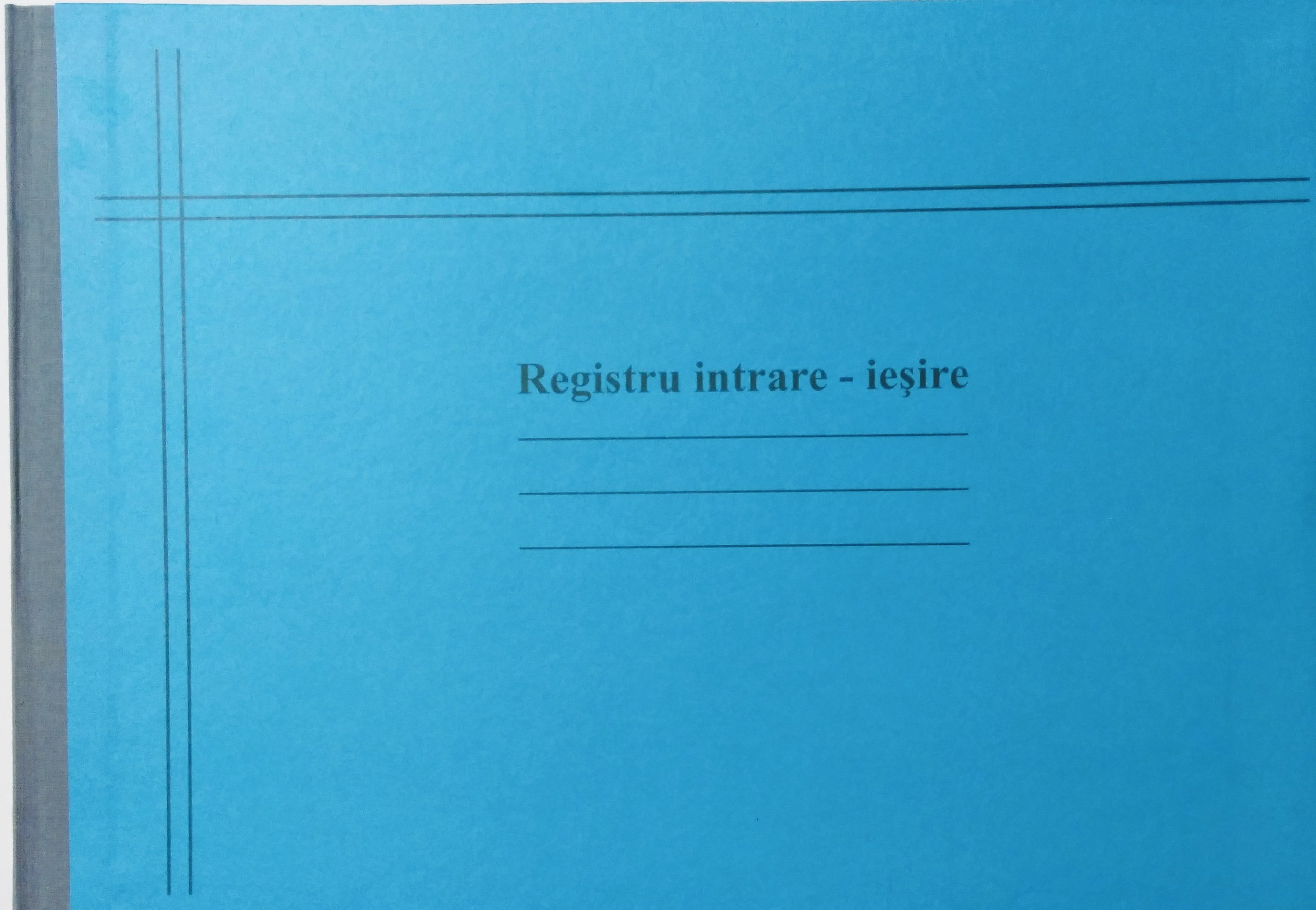 REGISTRU INTRARE IESIRE ORIZONTAL A4