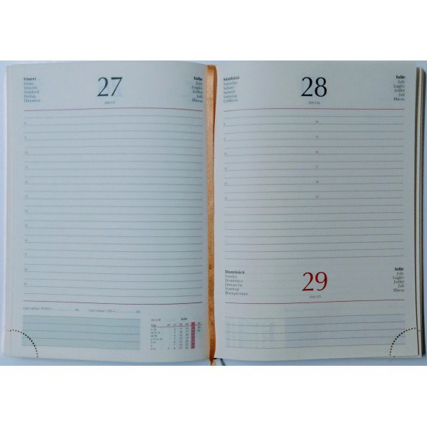 Rezerva Agenda 2025 15x21 cm Zilnic Datată Copertă Carton