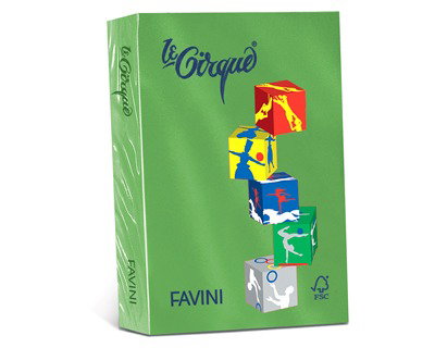ADA Hartie Color A4 80gsm 500 Sheets Forest Green