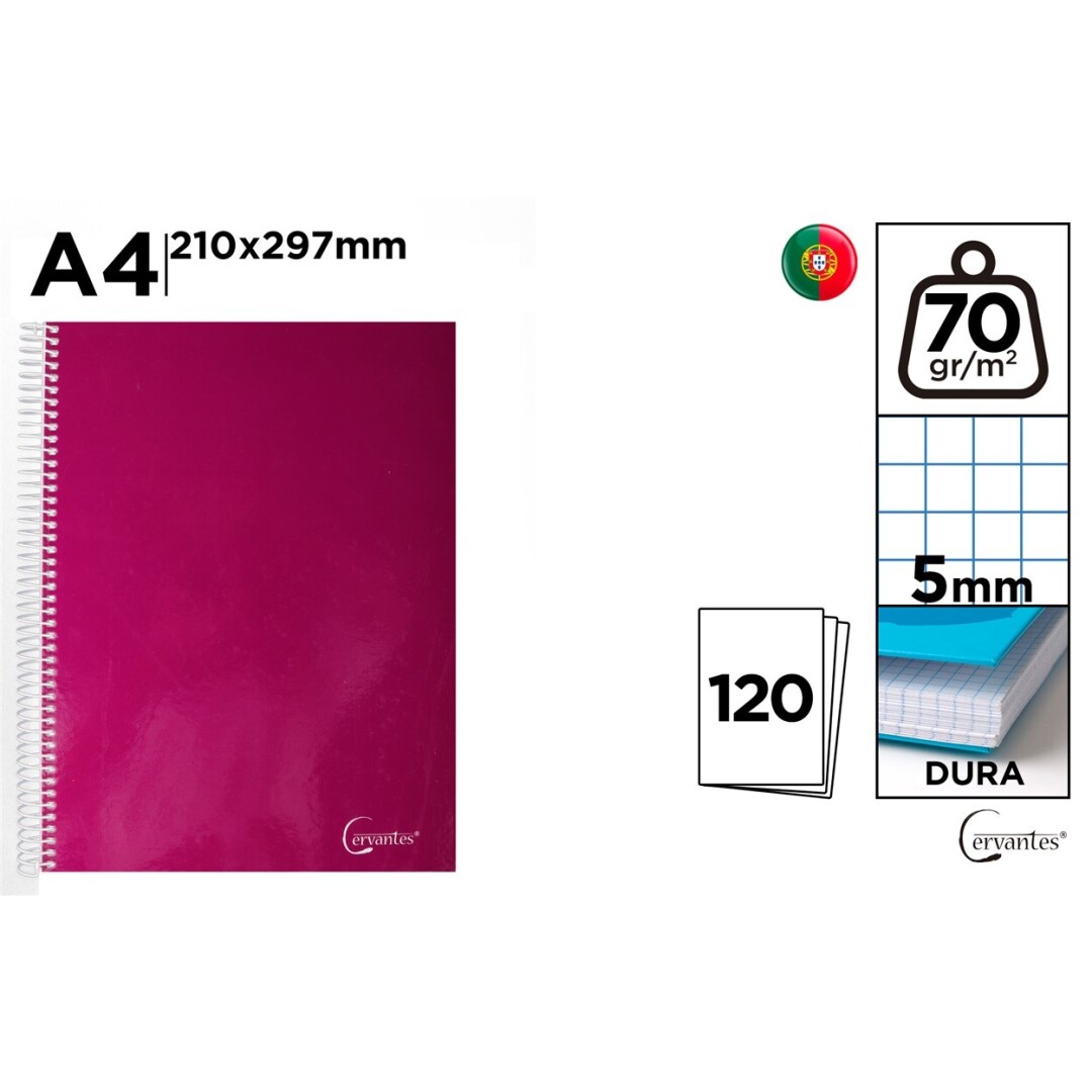 Caiet A4 IPB 120F Spira Patratele PB771