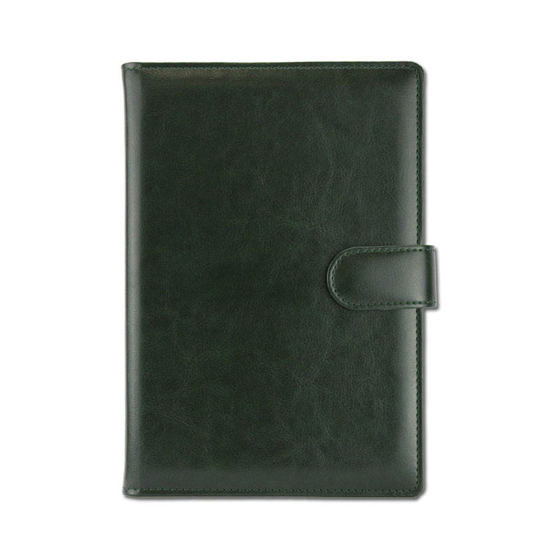 AGENDA DATATA LUX SANDRA CU CLAPA VERDE 15*21CM 2026 SAN01V