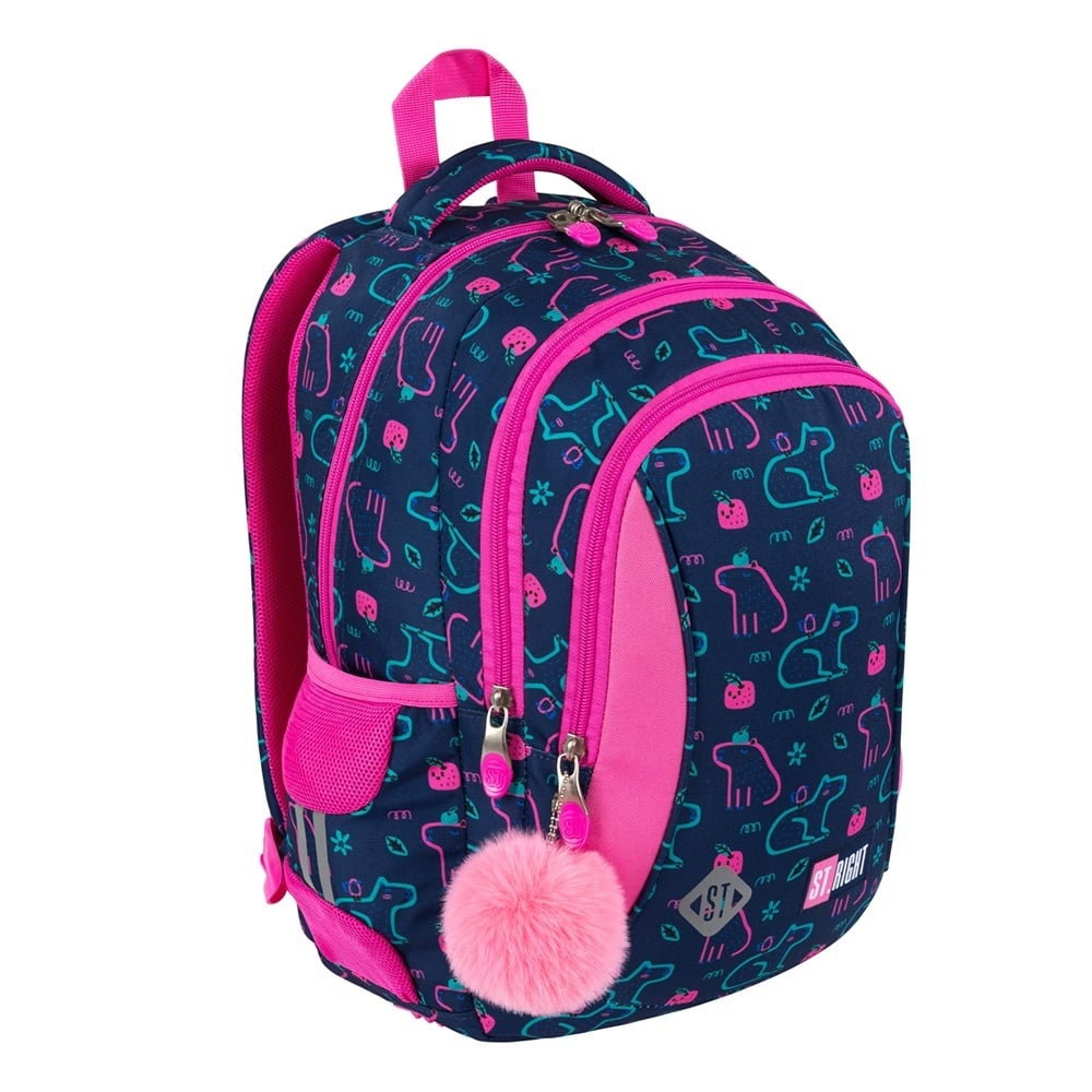 Rucsac școlar ST.RIGHT 3 compartimente BP-26 Capybara 682957