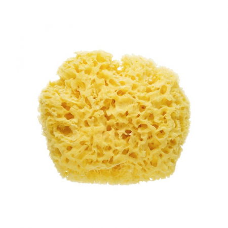 Oktató játékok - Burete marin de baie natural, premium