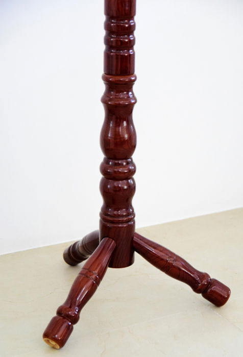 Cuier Pom 46x190 cm Model 538 Maro [5]