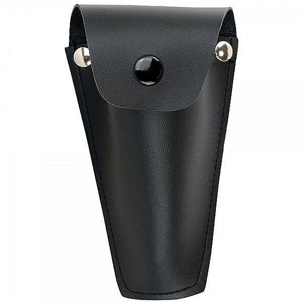 Prisma Echer dublu pentagonal [5]