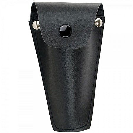 Prisma Echer dublu pentagonal [4]