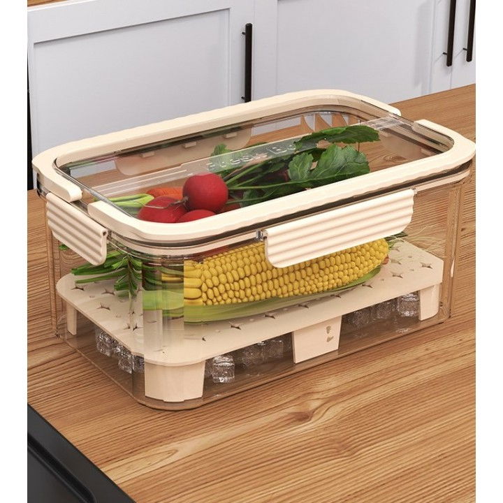 Cutie pentru depozitare alimente, de uz casnic, 2 compartimente, zona pentru gheata, mentinere fresh, cu maner, material pet, 23x15x10.8 cm, bej [9]