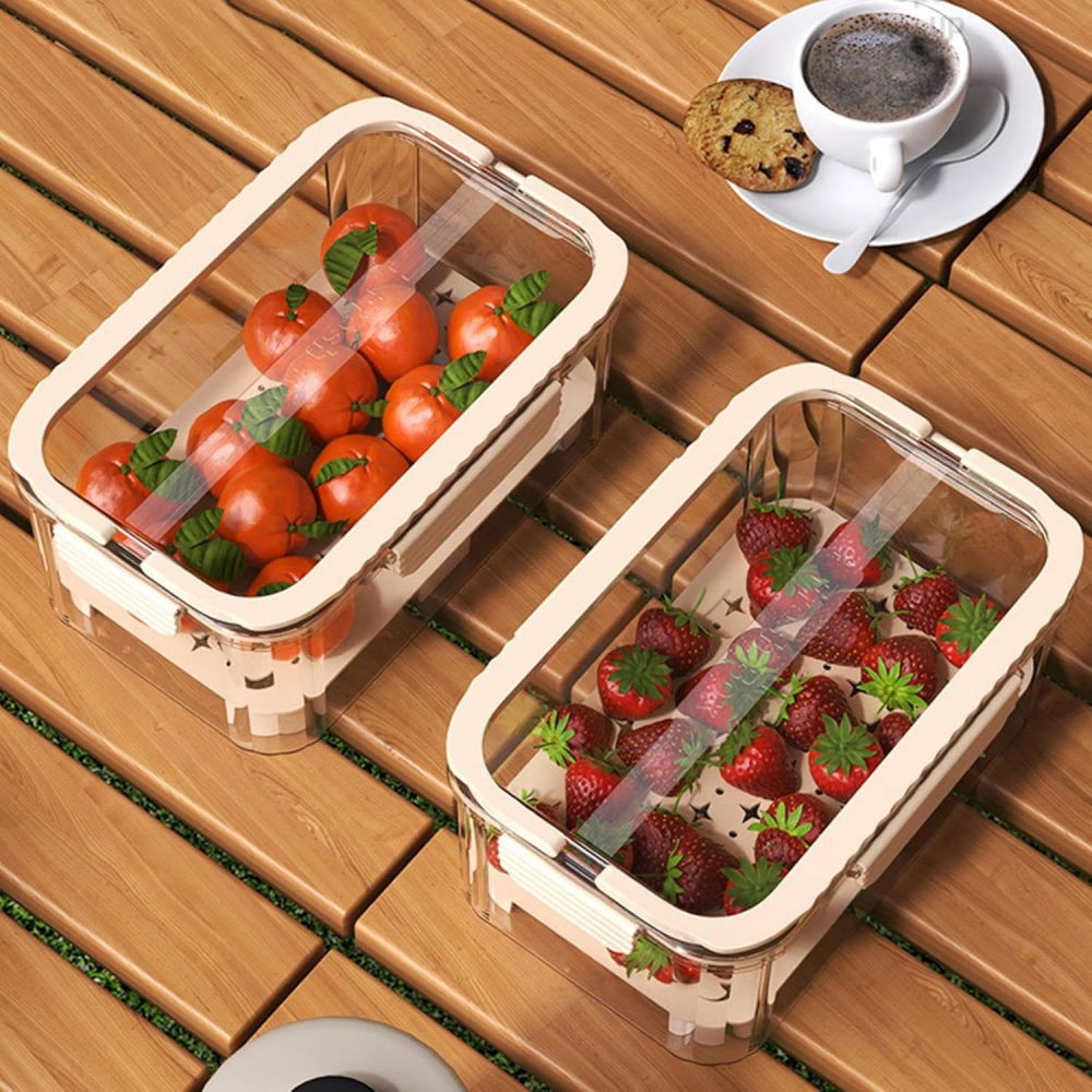 Cutie pentru depozitare alimente, de uz casnic, 2 compartimente, zona pentru gheata, mentinere fresh, cu maner, material pet, 23x15x10.8 cm, bej [3]