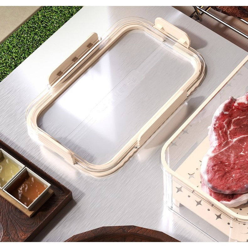 Cutie pentru depozitare alimente, de uz casnic, 2 compartimente, zona pentru gheata, mentinere fresh, cu maner, material pet, 23x15x10.8 cm, bej [15]