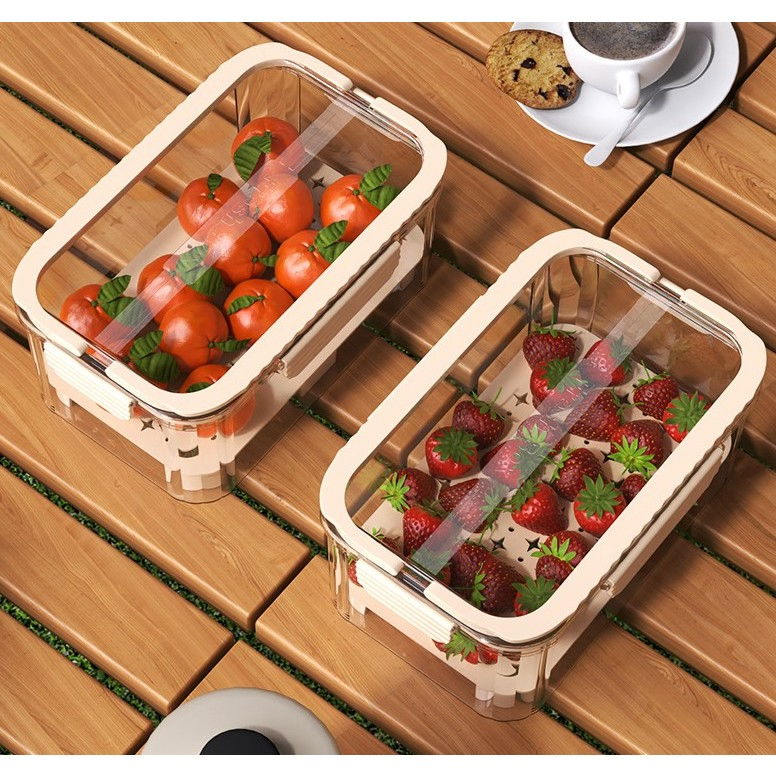 Cutie pentru depozitare alimente, de uz casnic, 2 compartimente, zona pentru gheata, mentinere fresh, cu maner, material pet, 23x15x10.8 cm, bej [13]