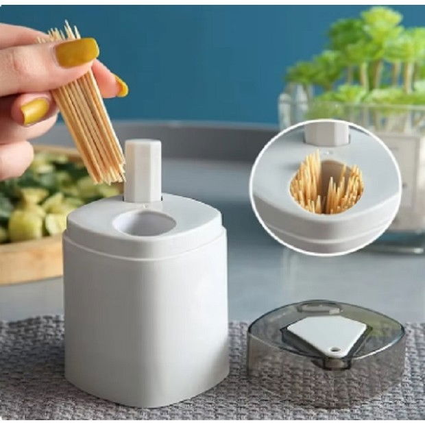 Suport scobitori, automat, cu buton si capac, din pp, 9.5x6 cm, gri [7]