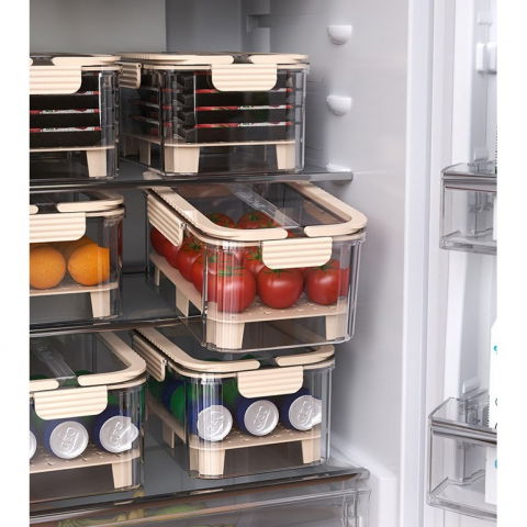 Cutie pentru depozitare alimente, de uz casnic, 2 compartimente, zona pentru gheata, mentinere fresh, cu maner, material pet, 23x15x10.8 cm, bej [11]